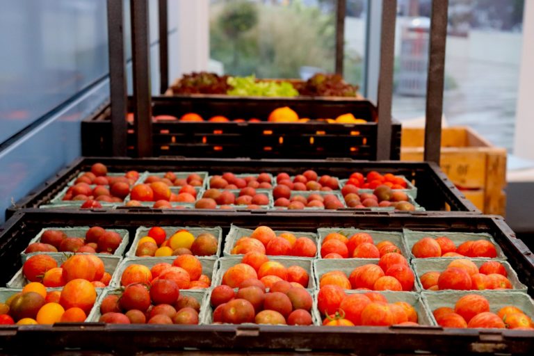 Fruit and Vegetable Stand